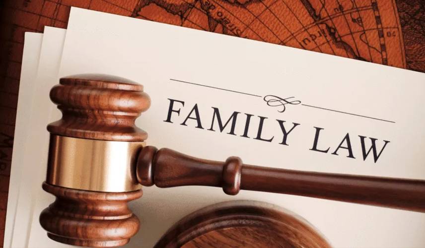 Best Family Lawyer in Junagadh